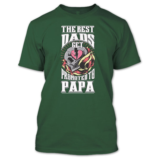The Best Dad T Shirt, Get Promoted To Papa T Shirt