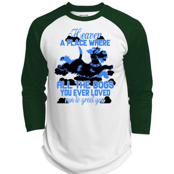 Heaven A Place Where All The Dogs T Shirt, I Love My Dog T Shirt, Awesome T-Shirts  (Polyester Game Baseball Jersey)