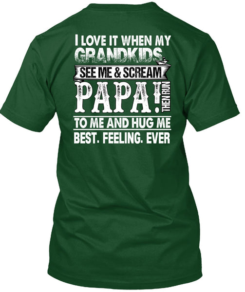 Grandkids See Me And Scream Papa T Shirt, Being A Papa T Shirt