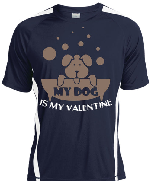 My Dog Is My Valentine T Shirt, My Favorite T Shirt, Cool Shirt