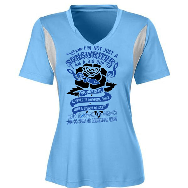 I'm Not Just A Songwriter T Shirt, I Love Writing T Shirt, Awesome T-Shirts