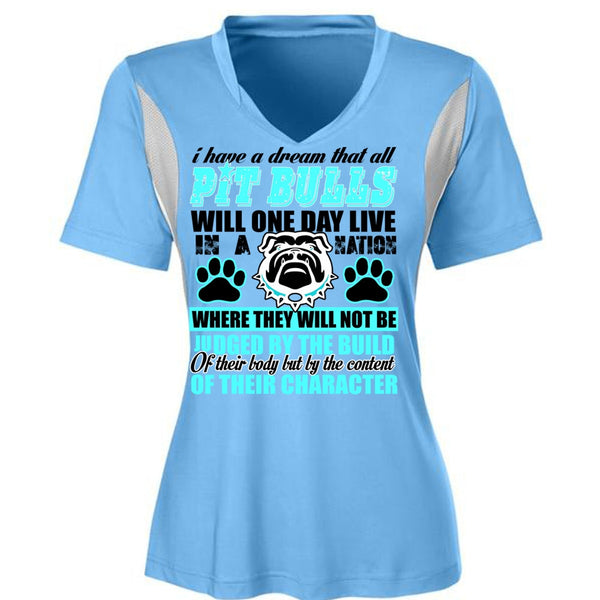 I Have A Dream That All Pit Bulls T Shirt, My Favorite T Shirt