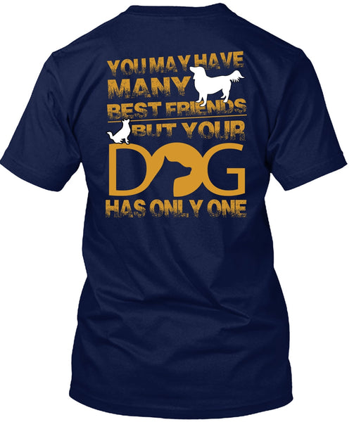 Your Dog Has Only One T Shirt, You May Have Many Best Friend T Shirt