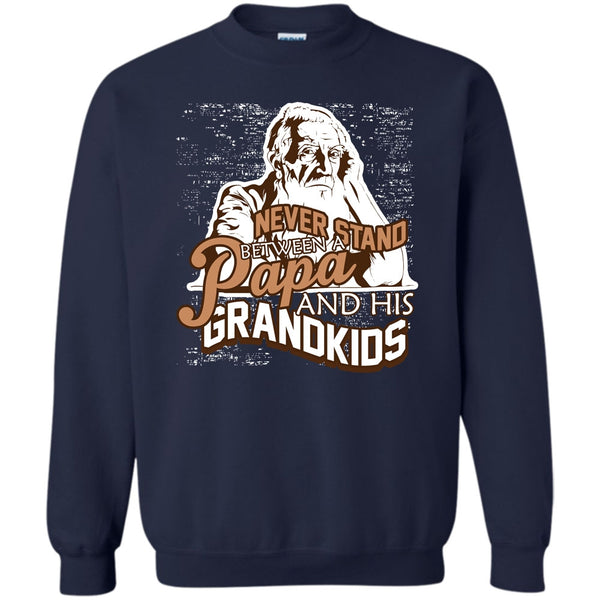 A Papa And A His Grandkids T Shirt, Gift For Papa Sweatshirt