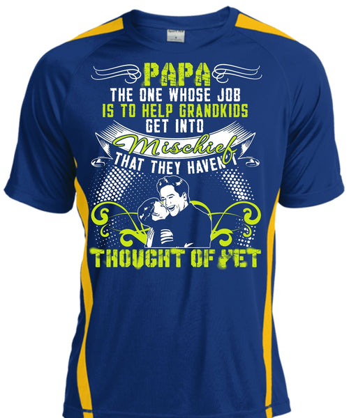Papa The One T Shirt, Help Grandkids T Shirt, Cool Shirt