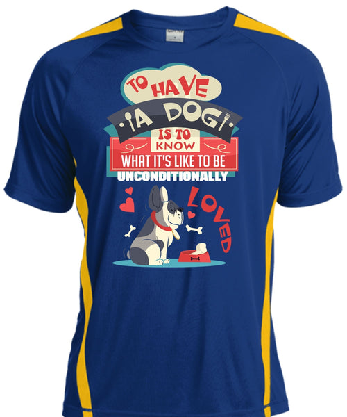 To Have A Dog Is To Know T Shirt, My Favorite T Shirt, Cool Shirt