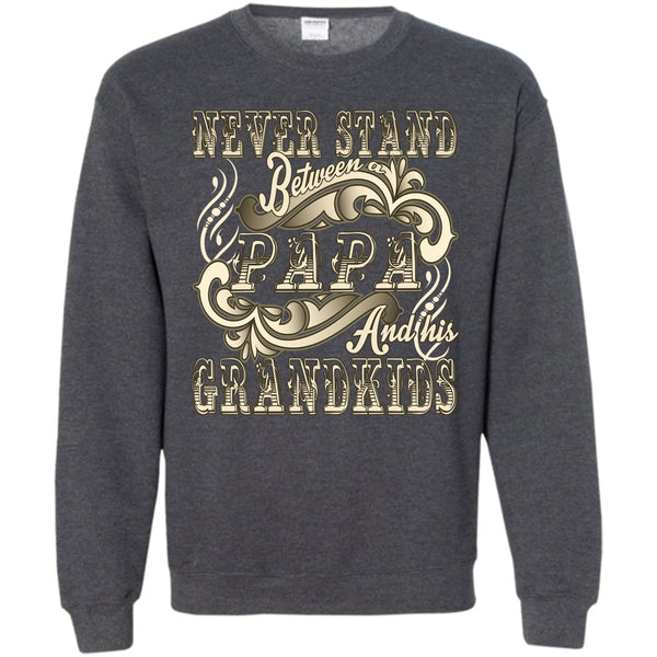 Papa And His Grandkids T Shirt, Coolest Papa Sweatshirt