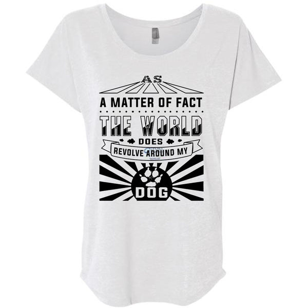 A Matter Of Fact The World Does Revolve Around My Dog T Shirt, Loving T Shirt
