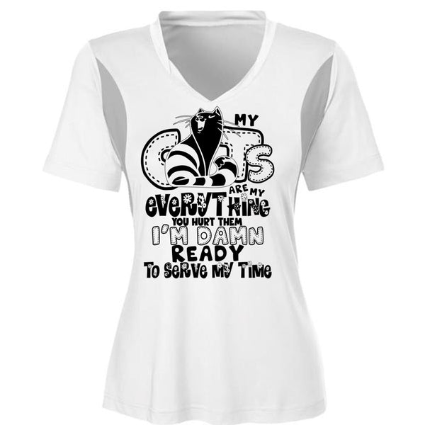 My Cats Are My Everything T Shirt, I Love My Cat T Shirt, Awesome T-Shirts