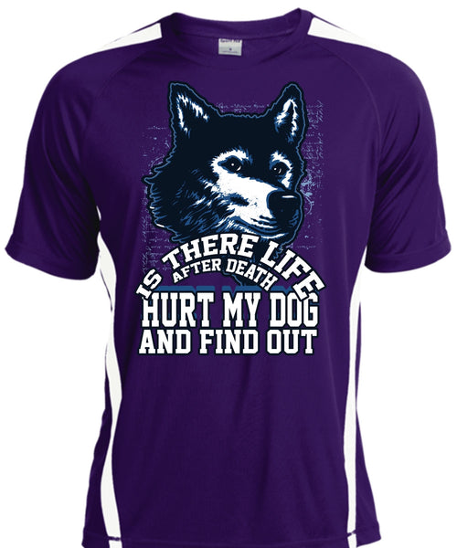 Hurt My Dog T Shirt, My Favorite T Shirt, Cool Shirt