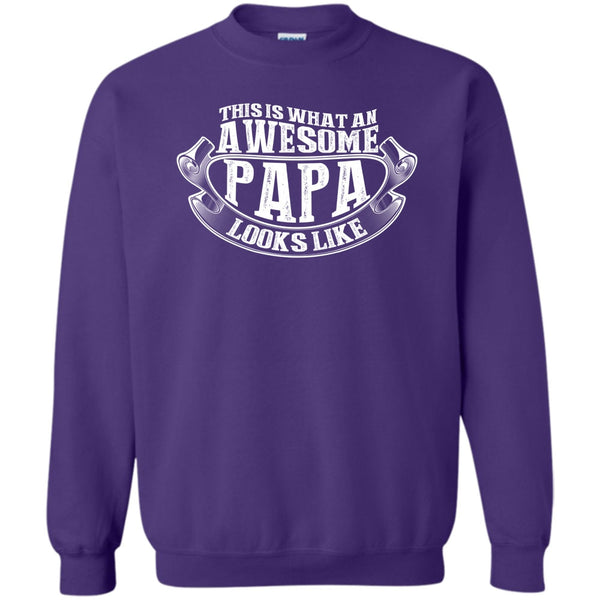 Gift For Papa T Shirt, Coolest Papa Ever Sweatshirt