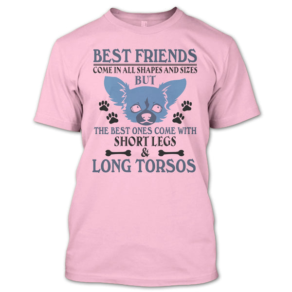 Best Friends Come In All Shapes And Size T Shirt, Coolest Dog T Shirt