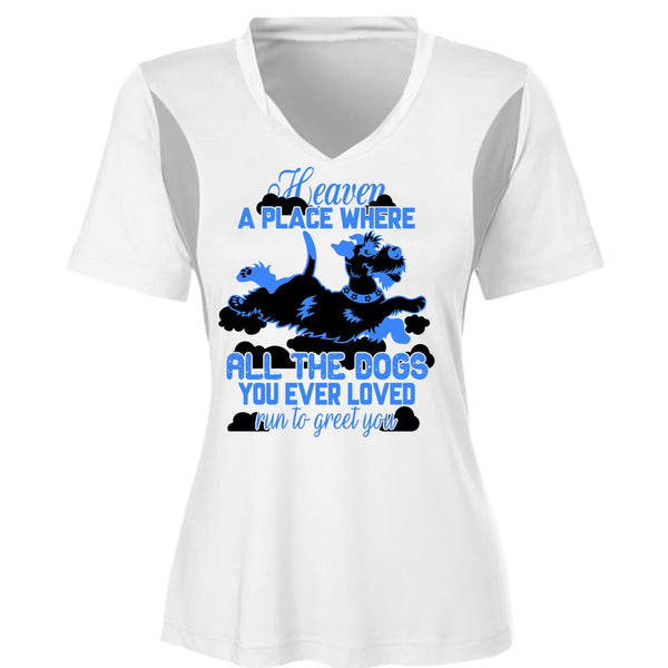 Heaven A Place Where All The Dogs T Shirt, I Love My Dog T Shirt, Awesome T-Shirts