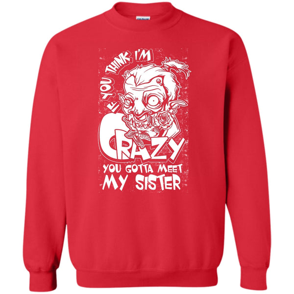 You Gotta Meet My Sister T Shirt, Coolest Sister Sweatshirt