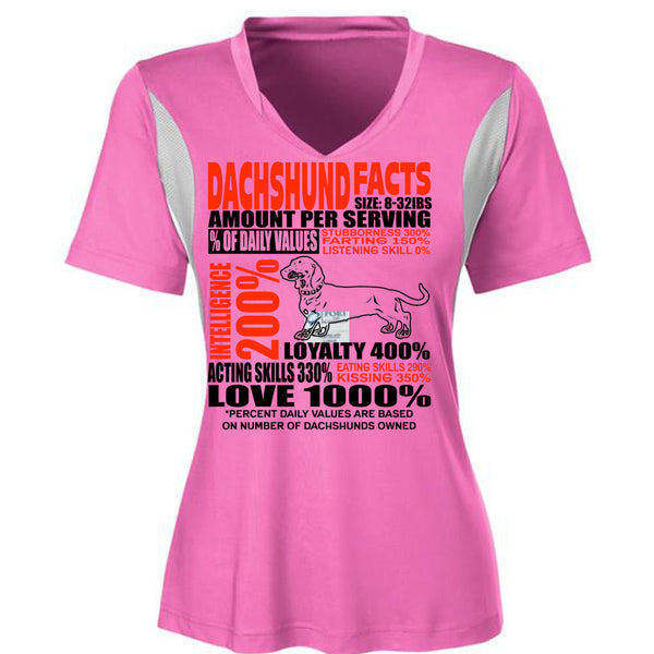Dachshund Facts T Shirt, I Love Dachshund T Shirt, Awesome T-Shirts