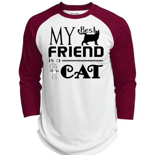 My Best Friend Is A Cat T Shirt, I Love My Cat T Shirt, Cool Pets T Shirt  (Polyester Game Baseball Jersey)