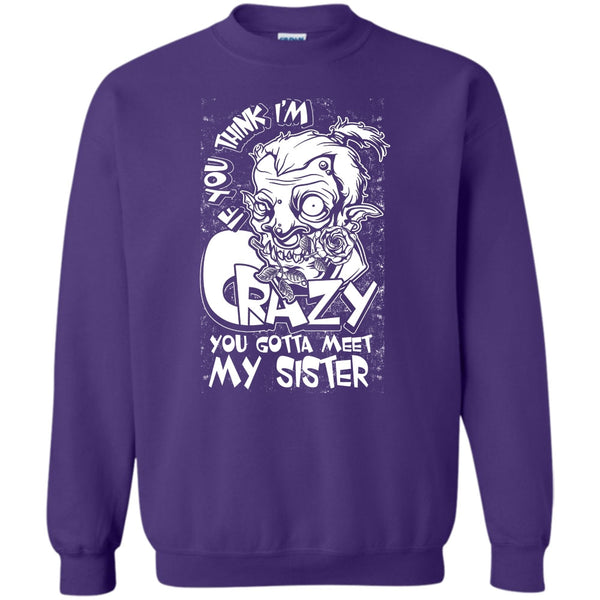 You Gotta Meet My Sister T Shirt, Coolest Sister Sweatshirt