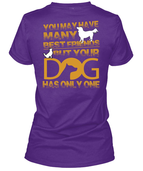 Your Dog Has Only One T Shirt, You May Have Many Best Friend T Shirt