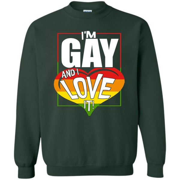 Coolest Gay T Shirt, Gift For Gay Sweatshirt