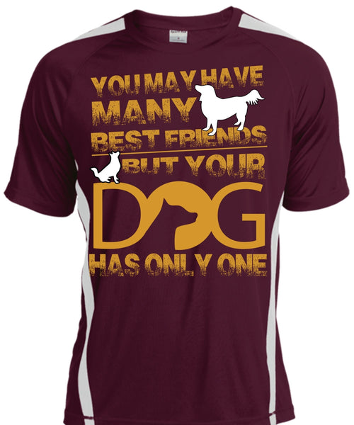 Your Dog Has Only One T Shirt, You May Have Many Best Friend T Shirt, Cool Shirt