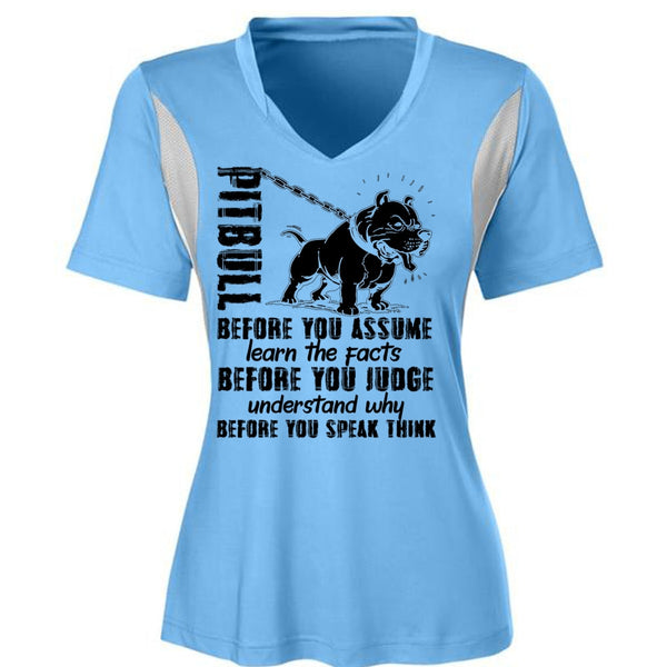 Pit Bull Before You Assume T Shirt, I Love Pit Bull T Shirt, Awesome T-Shirts