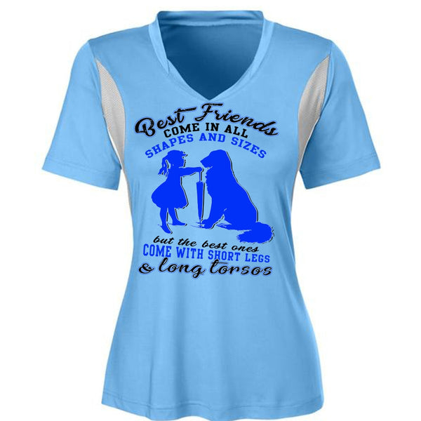 Best Friends Come In All Shapes T Shirt, I Love My Dog T Shirt, Awesome T-Shirts