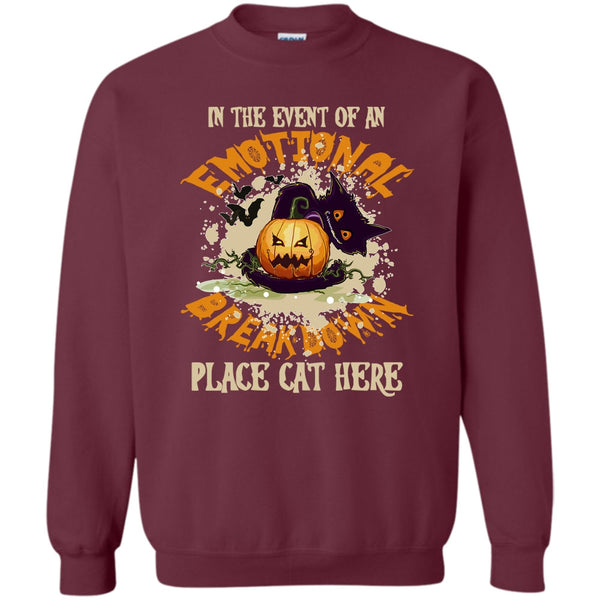 Place Cat Here T Shirt, Coolest Cat Ever Sweatshirt