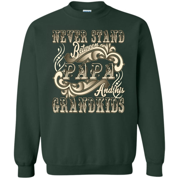 Papa And His Grandkids T Shirt, Coolest Papa Sweatshirt