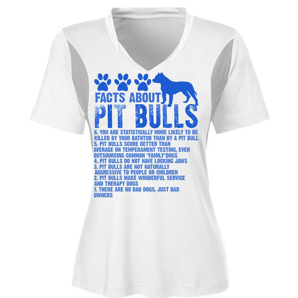 Facts About Pit Bulls T Shirt, There Are No Bad Dogs T Shirt, Cool Shirt (Ladies LS Heather V-Neck)