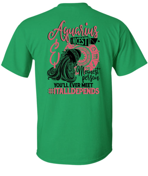 Aquarius Nicest Meanest Person T Shirt, I Love Aquarius T Shirt