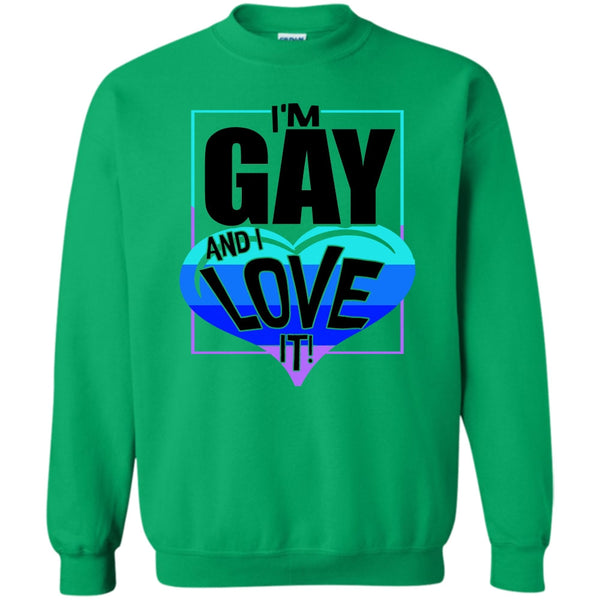 Gift For Gay T Shirt, I'm Gay And I Love It Sweatshirt