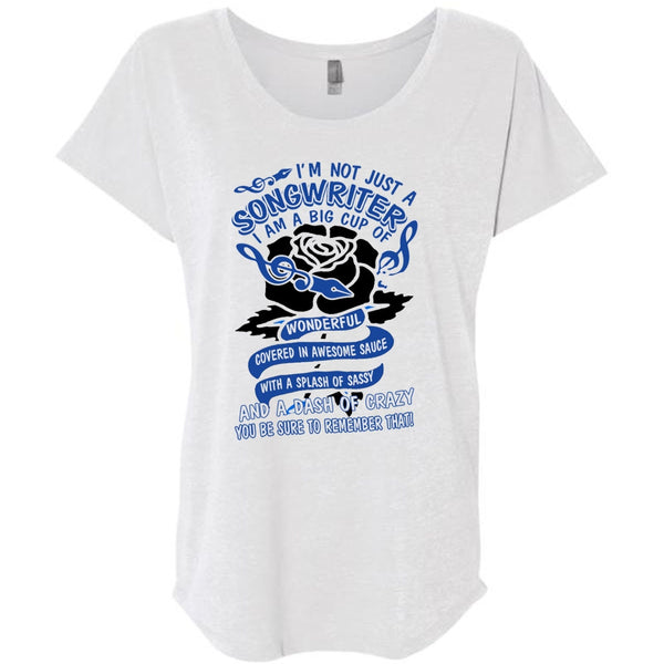 I'm Not Just A Songwriter T Shirt, I Love Writing T Shirt, Awesome T-Shirts