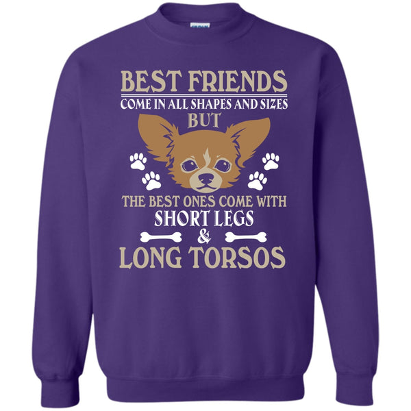 The Best One Come With Short Legs & Long Torsos T Shirt, Coolest Dog Sweatshirt