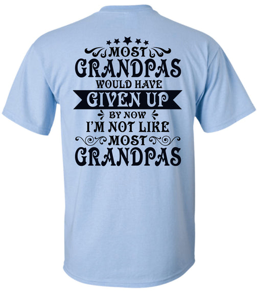 Being A Grandpas T Shirt, I Love Grandpas T Shirt