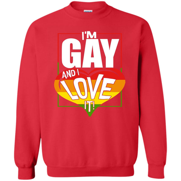 Coolest Gay T Shirt, Gift For Gay Sweatshirt