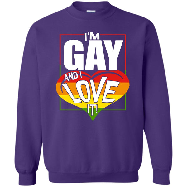 Coolest Gay T Shirt, Gift For Gay Sweatshirt