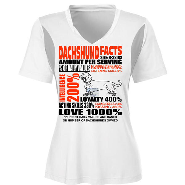 Dachshund Facts T Shirt, I Love Dachshund T Shirt, Awesome T-Shirts