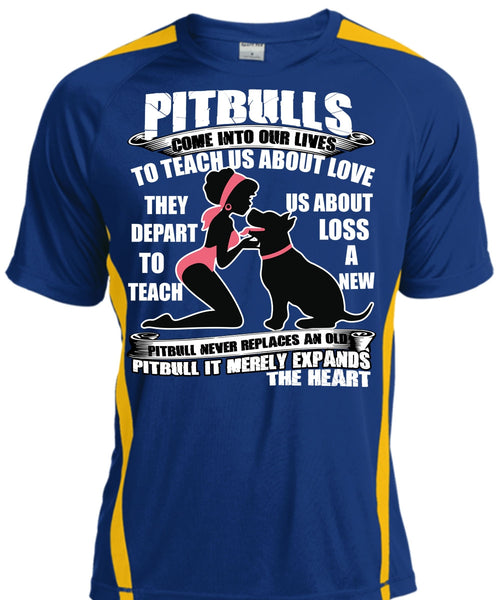 Pit Bulls Come Into Our Lives T Shirt, My Favorite T Shirt, Cool Shirt