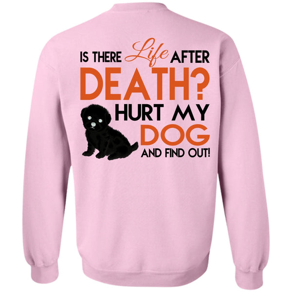 Favorite T Shirt, Hurt My Dog And Find Out Sweatshirt