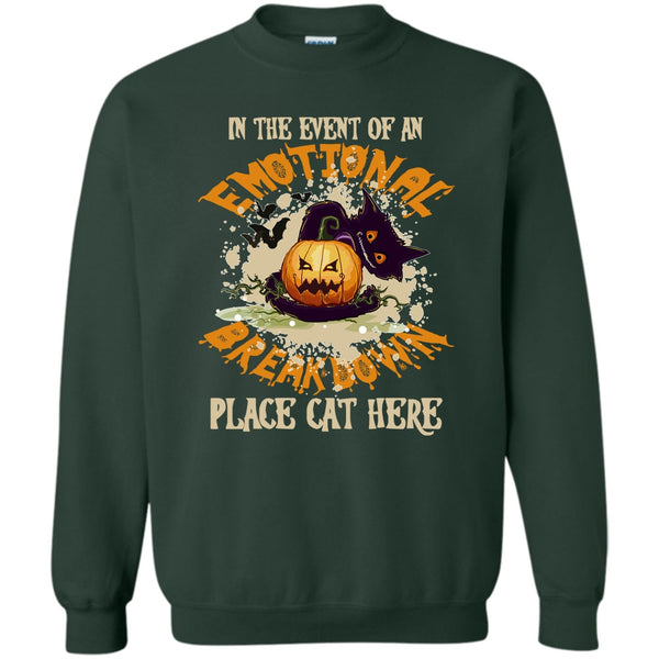 Place Cat Here T Shirt, Coolest Cat Ever Sweatshirt