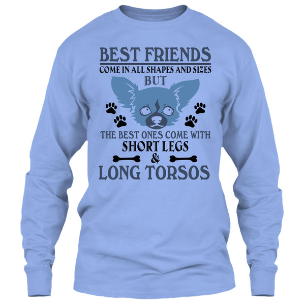 Best Friends Come In All Shapes And Size T Shirt, Coolest Dog T Shirt