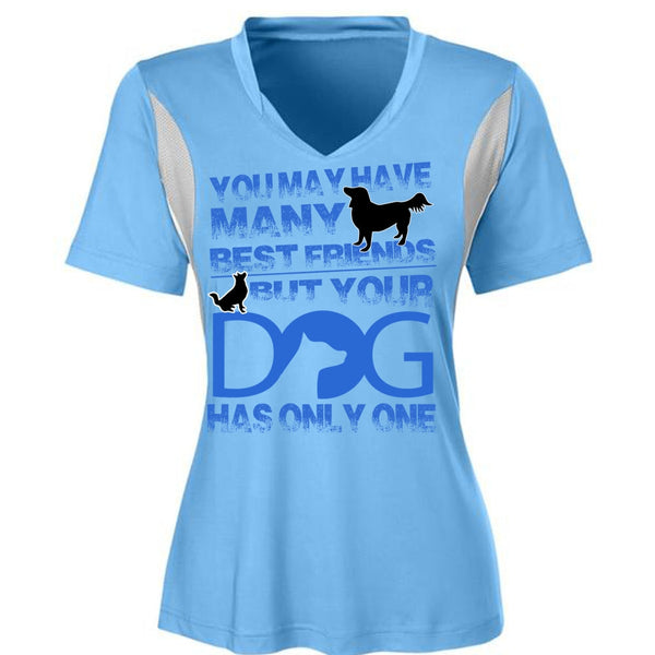 Your Dog Has Only One T Shirt, I Love My Dog T Shirt, Awesome T-Shirts