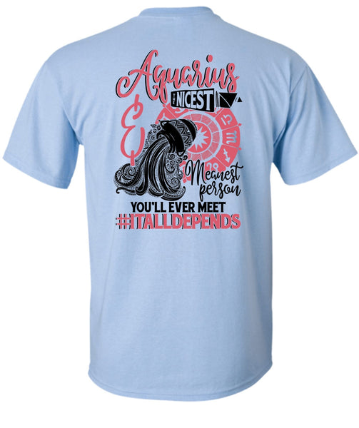Aquarius Nicest Meanest Person T Shirt, I Love Aquarius T Shirt