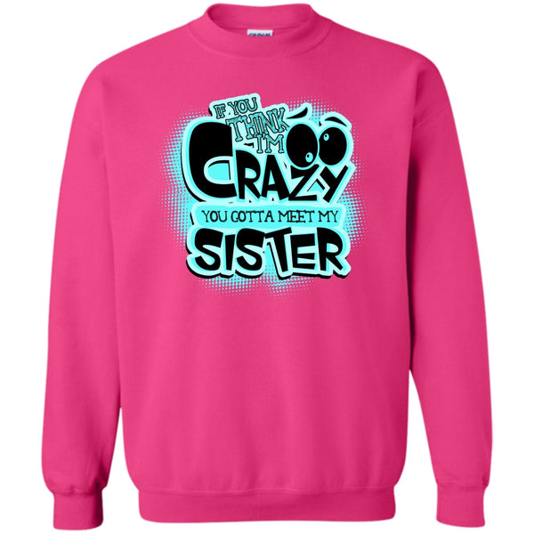 Gift For Sister T Shirt, If You Think I'm Crazy Sweatshirt