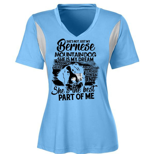 My Bernese Mountain Dog T Shirt, I Love Hiking T Shirt, Awesome T-Shirts