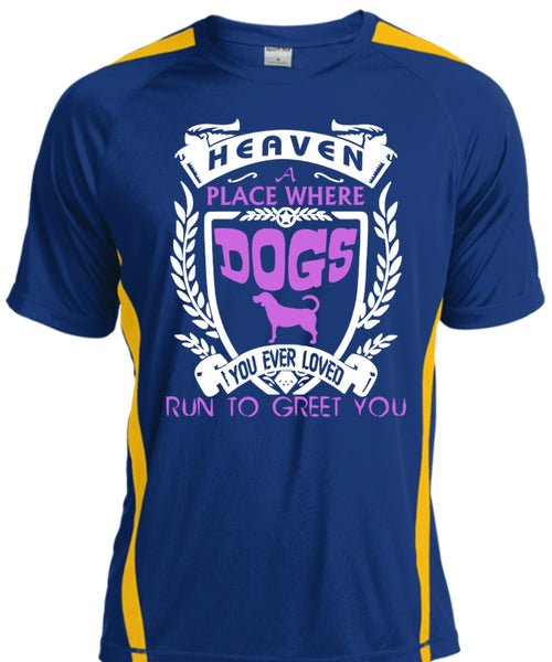 Heaven A Place Where Dogs T Shirt, You Ever Loved Run To Greet You T Shirt