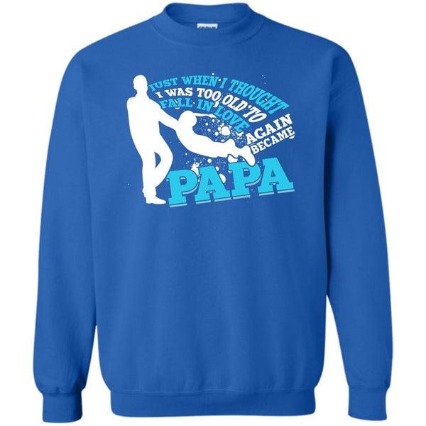 Became Papa T Shirt, Coolest Papa Eve Sweatshirt