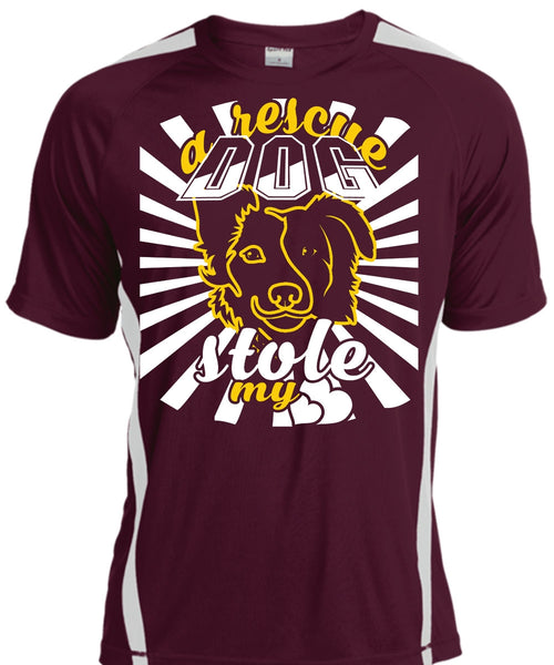 A Rescue Dog Stole My Heart T Shirt, Favorite T Shirt, I Love Dog T Shirt