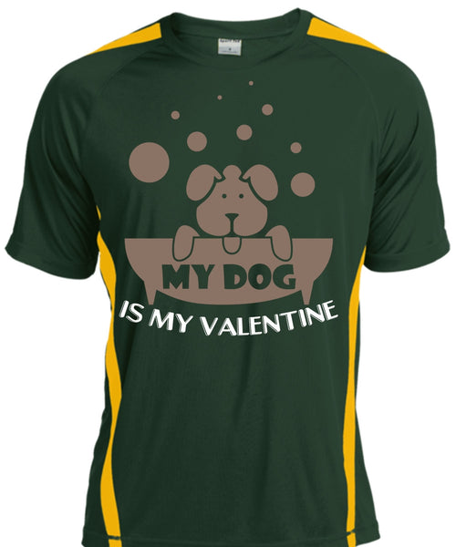 My Dog Is My Valentine T Shirt, My Favorite T Shirt, Cool Shirt