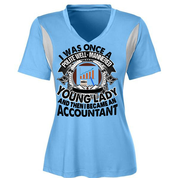 I Became An Accountant T Shirt, I Love Accountant T Shirt, Awesome T-Shirts